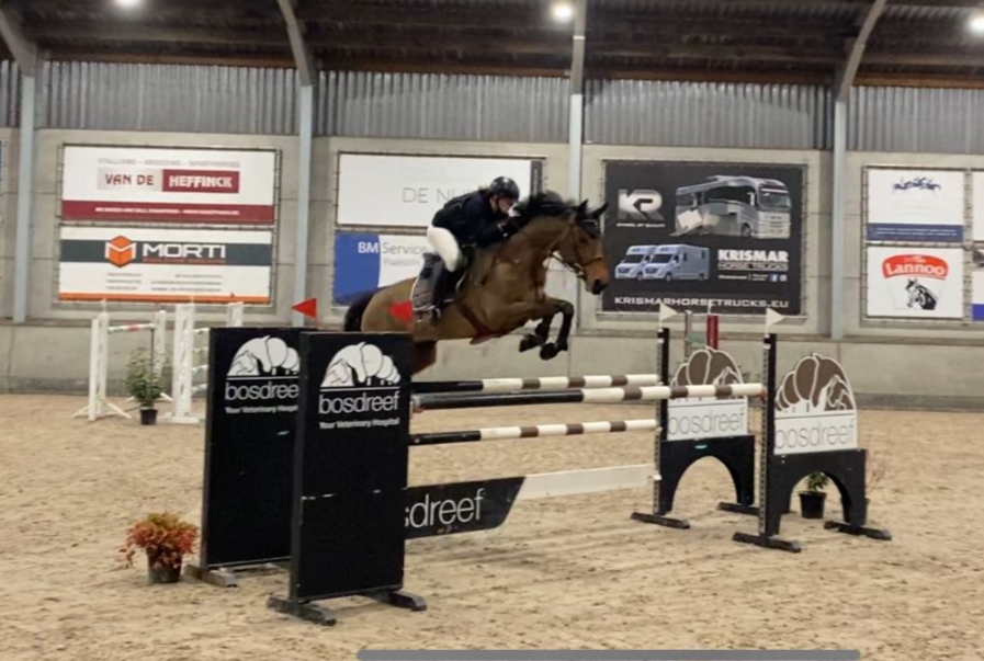 Caheelah de Beaufour wedstrijdresultaten