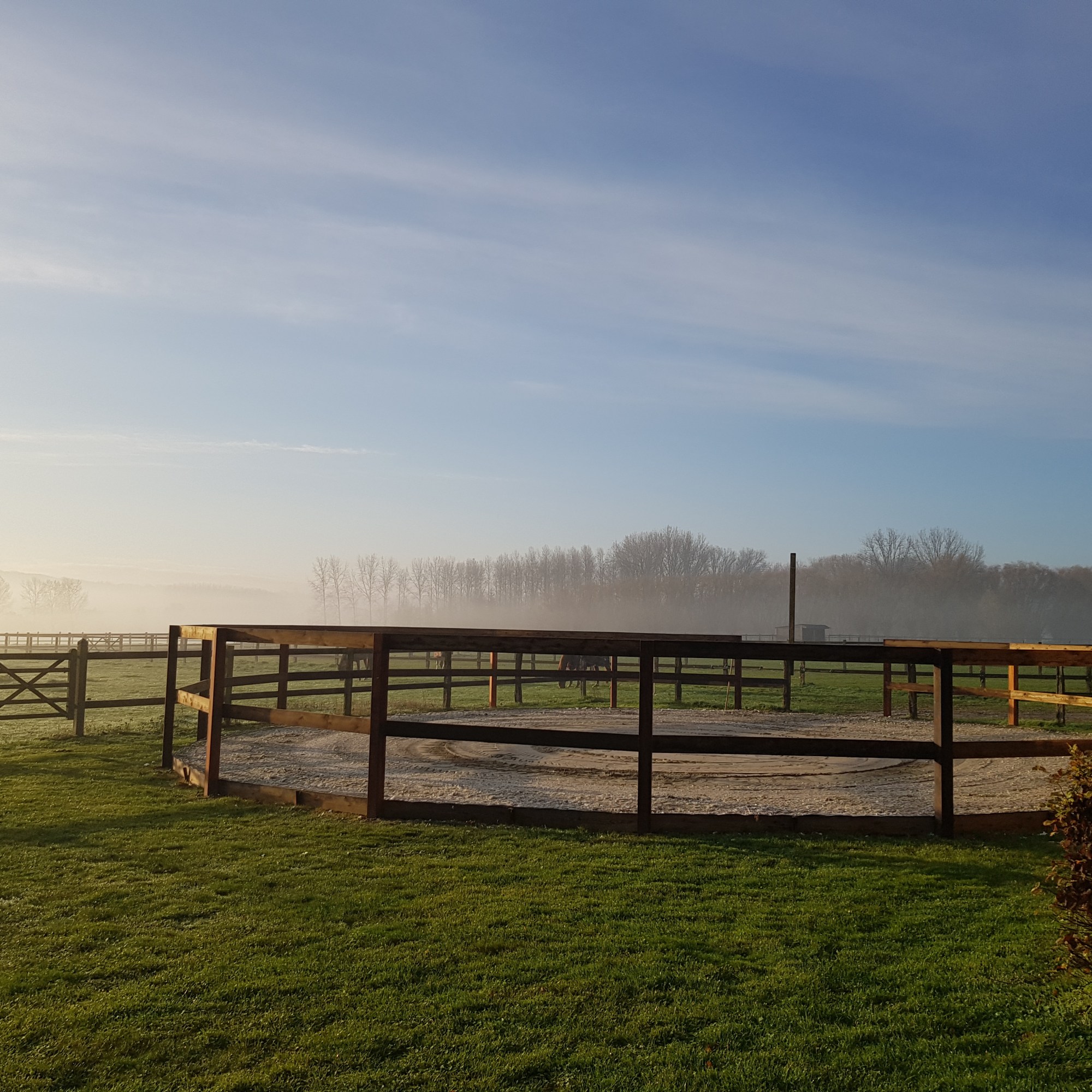 Pensionstal Vreckom longeercirkel
