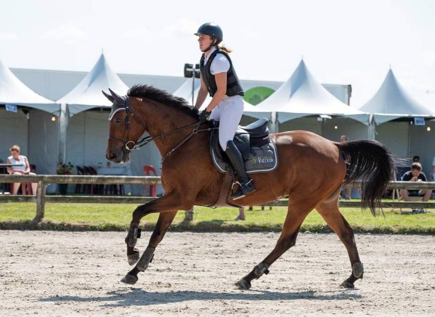 Sportstal Vreckom