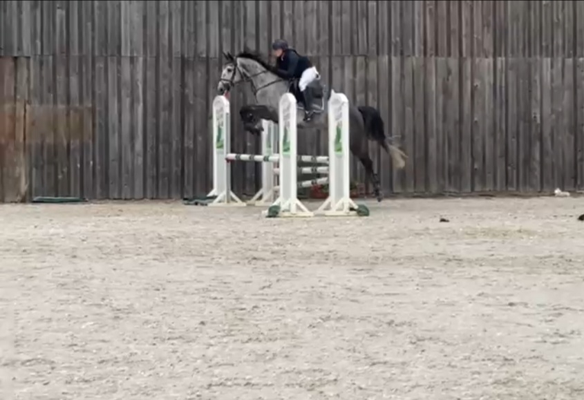 Judy Vd Catwoodstables Z