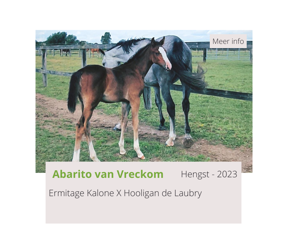 Abarito van Vreckom