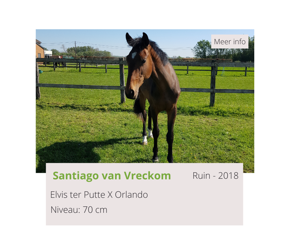 Santiago van Vreckom